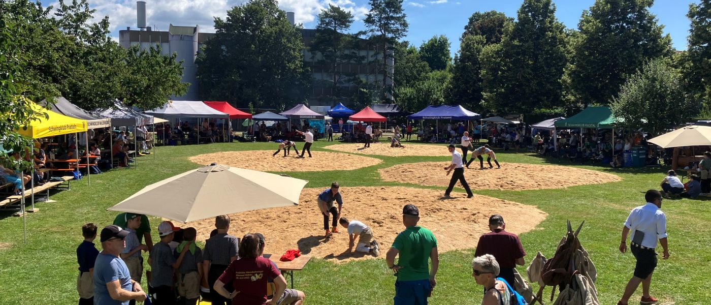 Schwingen bei bestem Wetter auf der Allmend in Möhlin